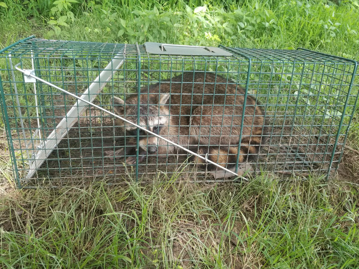 Angela Hughes tweet media