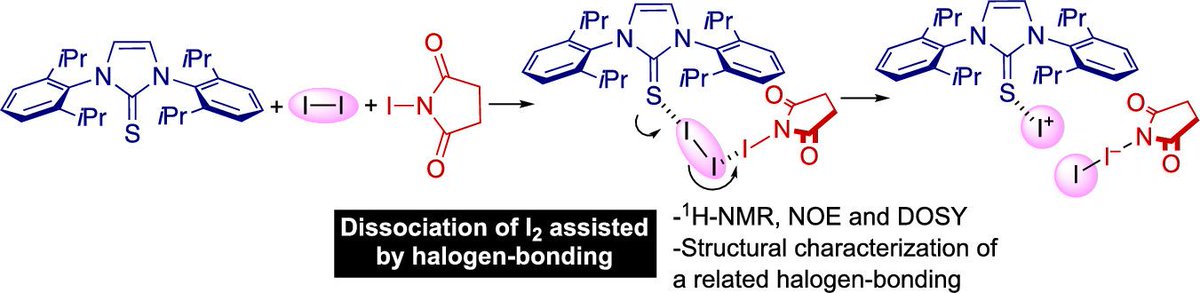 J Org Chem Org Lett On Twitter Observation Of Halogen Bonding Interaction Between I2 And N Iodosuccinimide In Lewis Base Catalyzed Iodolactonization Check It Out In Ol Https T Co Tamcggiazs Https T Co Kqpgzv5cqp