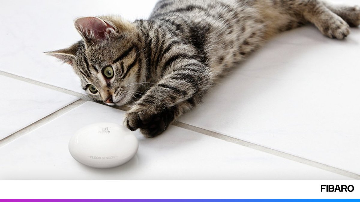 homactiv's tweet photo. Aunque entendemos por qué nuestro sensor de inundación podría atraer la atención, debería permanecer donde más se necesita. Por eso, le notificará sobre cualquier tipo de incumplimiento, para que pueda volver a colocarlo donde corresponde;) #SMARTHOME #IOT #FIBARO #HOMACTIV https://t.co/NcM7t7PlsP