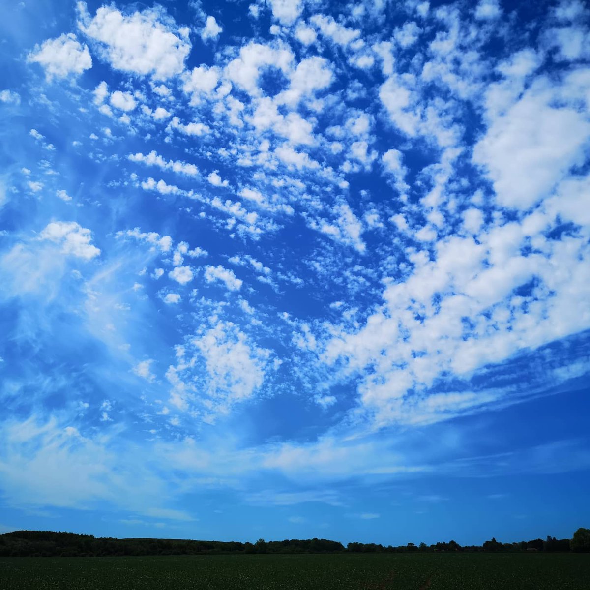 spunkyjunk's tweet photo. Bessingby walk today....made a change from the garden and the house! #lockdownlifeuk #bessingby #bridlington #bigsky https://t.co/pc8WtaoKVA