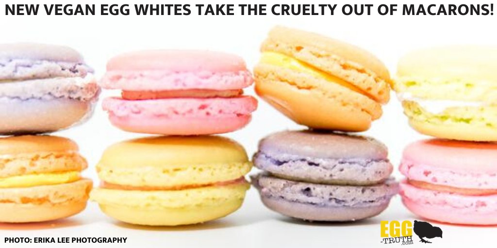 Vegan startup YUMGO created an amazing egg-white substitute, now available in France.
Now macrons, meringues and mousses can come without the cruelty!
#baking #cooking #pastries #Vegan