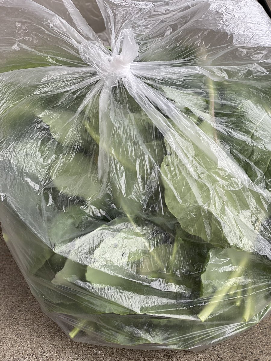 An Achievable Dream Academy tweet media