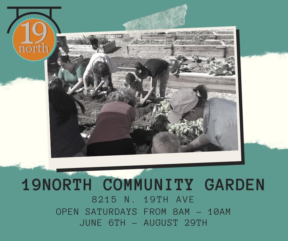 19NORTH_Phx's tweet photo. #community #communitygarden #19north #gardening #gardeninginphoenix #volunteeropportunities https://t.co/RAfjoTG6Mx