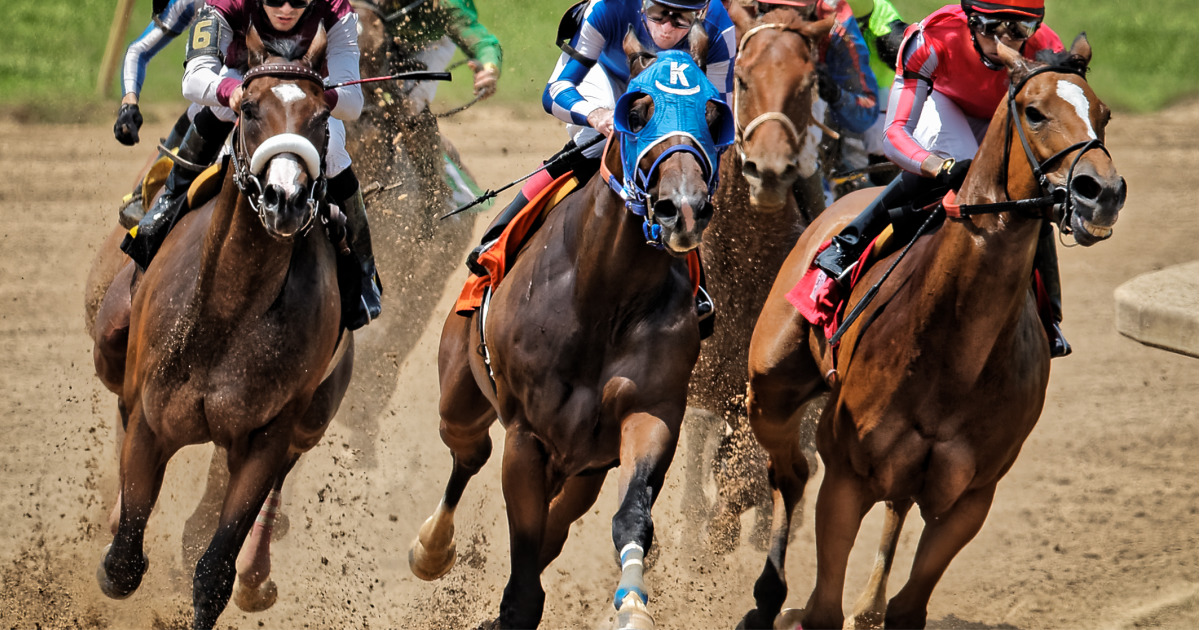 Lone Star Park tweet media