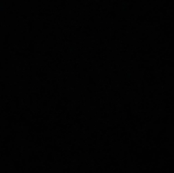 ✊🏿✊🏾✊🏽✊🏼✊🏻