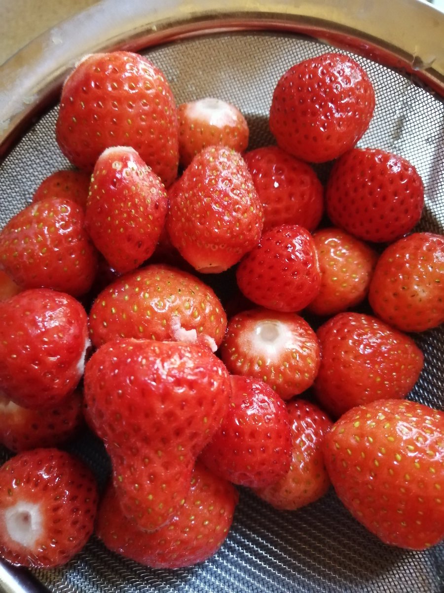 Over the years our school gardener Phil has planted numerous edible plants in a few secret spots... One of the perks of living on site is that we've found many of them and can pick them fresh from the ground for dessert :) #freshfood <a href="/PlymouthCollege/">Plymouth College</a> #wellbeing