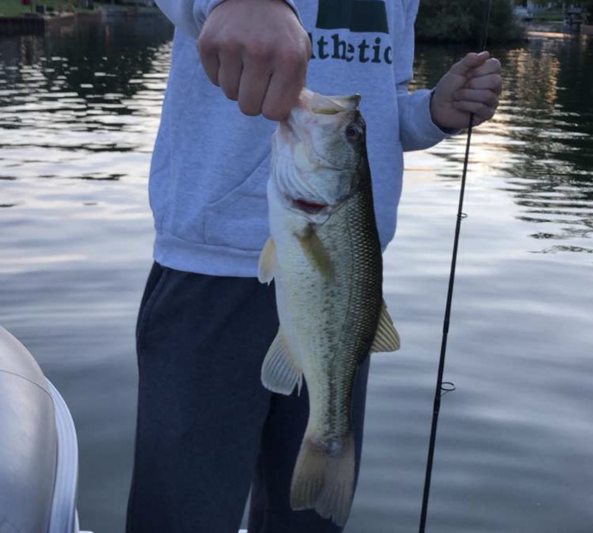 SixtyEight20's tweet photo. Here’s a picture of a fish I caught yesterday https://t.co/amIbNtPP7Q
