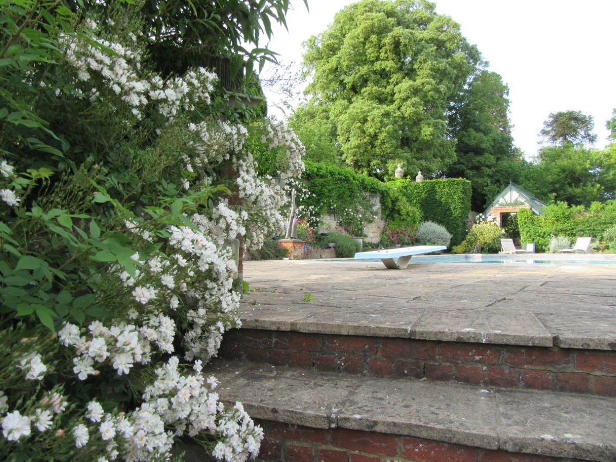 Thank you so much to everyone who came to see us today &amp; thank you to all for following the social distancing systems we have in place ... we shall hope to see some more of you soon.  Gardens open Tues to Fri from 10am to 3pm 
(Pics are roses in bloom around the swimming pool).