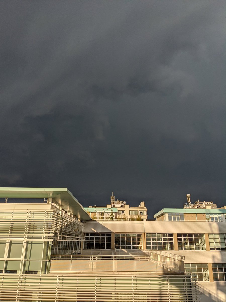 La quiete che precede la tempesta #Milano #igersmilano #nubifragiomilanese