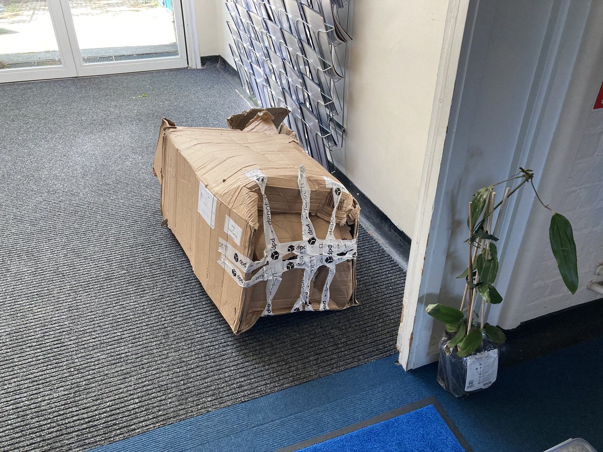 pablisch's tweet photo. @CodeBoom @Hermesparcels DPD kept this parcel of live plants for five days delivering it. This is the good side 🙄. They said I wasn’t in even though I spoke to the driver and he said he didn’t have my parcel. I empathise with you. https://t.co/F9cUBGGyAD