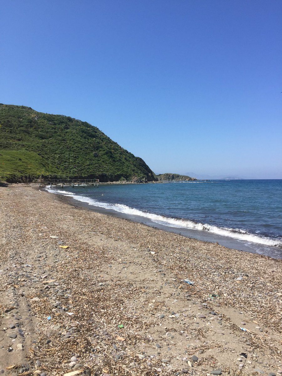 Pandemi nedeniyle ailemin yanına geldim Mart 20’de. Online çalışıp online okuduğum için 2,5 aydır Bodrum’dayım. Evimizin yakınında bir sahil var; çok fazla plastik doluydu. Poşetler, kapaklar, ipler, çakmaklar, şişeler, naylonlar. Ben dedim, bunları toplarım.