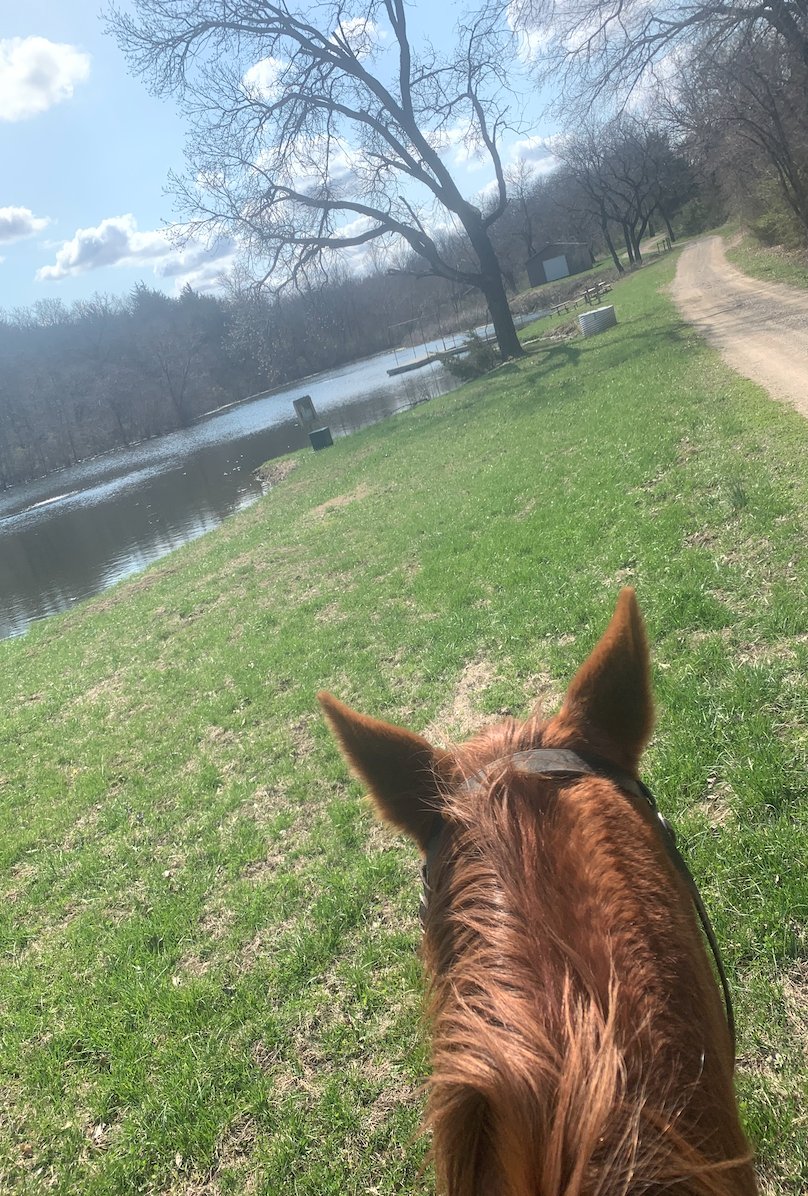 HopeTopeka's tweet image. We offer english, western, and therapeutic lessons! Message us for more details! #horse #topeka #therapeutic #riding #english #western