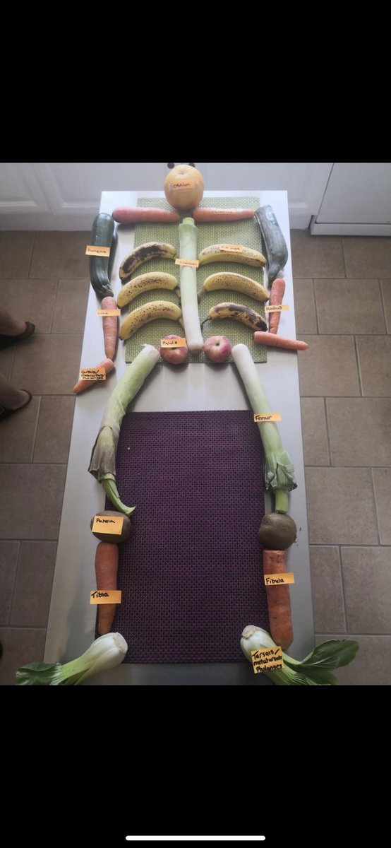 Week 1 of the KS3 PE Project- Well done to Lea in Y8 creating a human skeleton out of veg! 👍🏻🍌🥕🍏🥬