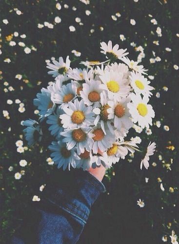 digerkm's tweet photo. tweet altına çiçek fotosu bırakın 💐 https://t.co/8ohT0BohBg