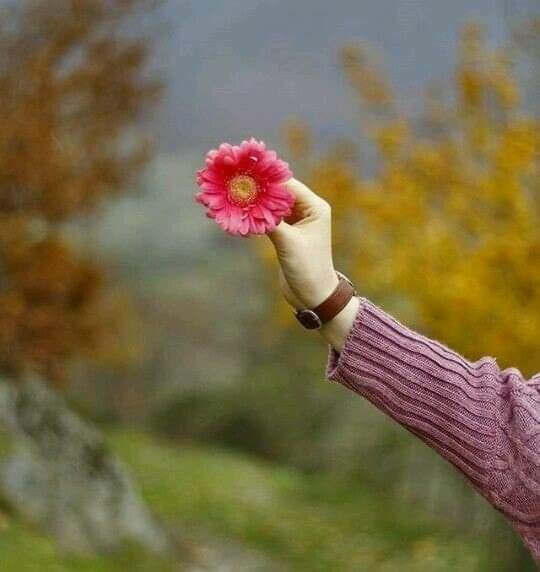 digerkm's tweet photo. tweet altına çiçek fotosu bırakın 💐 https://t.co/8ohT0BohBg