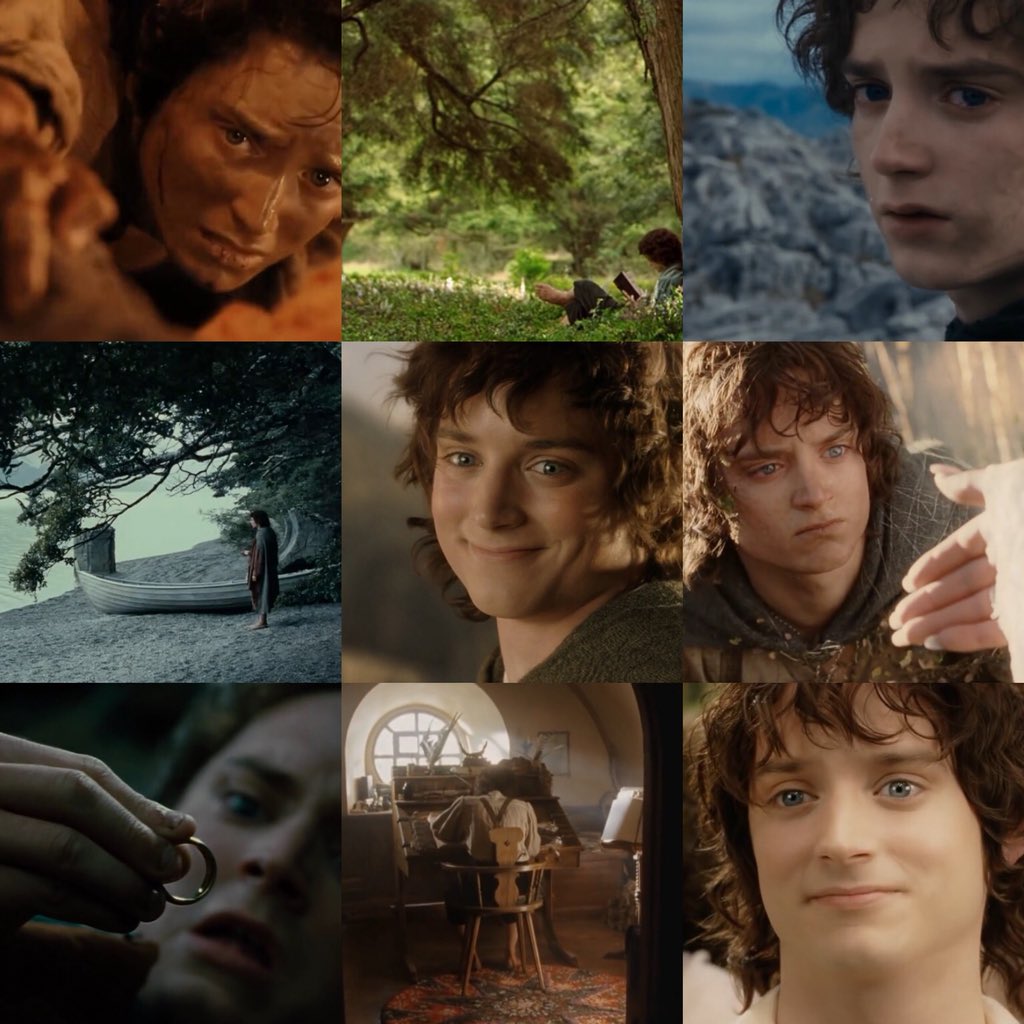 The Ring barer, Frodo Baggins