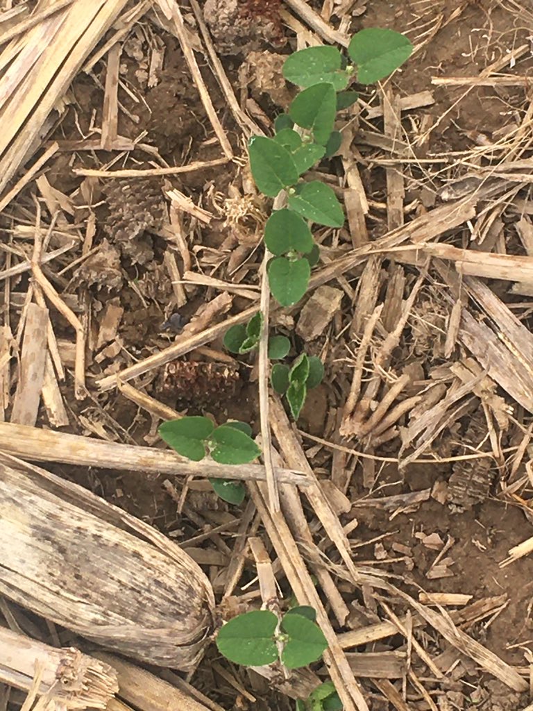 sandrick howard tweet media