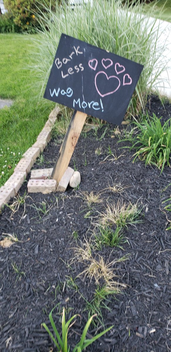 hunterclary's tweet image. #chalksign #familywalk