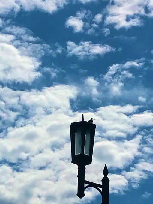 大切なもの 高画質 のtwitterイラスト検索結果