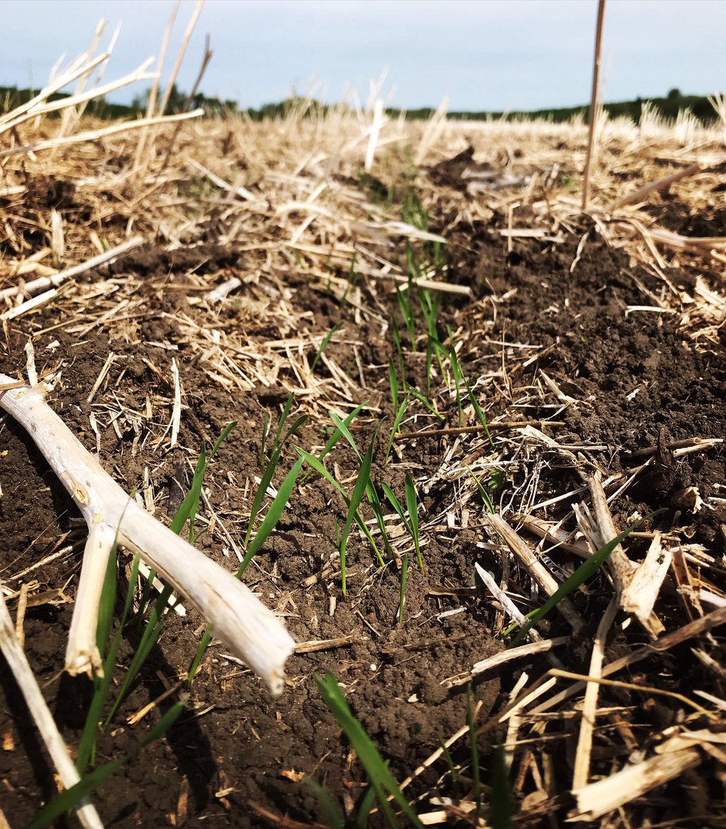 As we transition from #plant20 to #spray20 for the 2020 crop year, our agronomy team is moving from the blend sheds to your fields! Contact your local Territory Agronomist for any advice this season! We have more boots on the ground than ever before to support you better!
