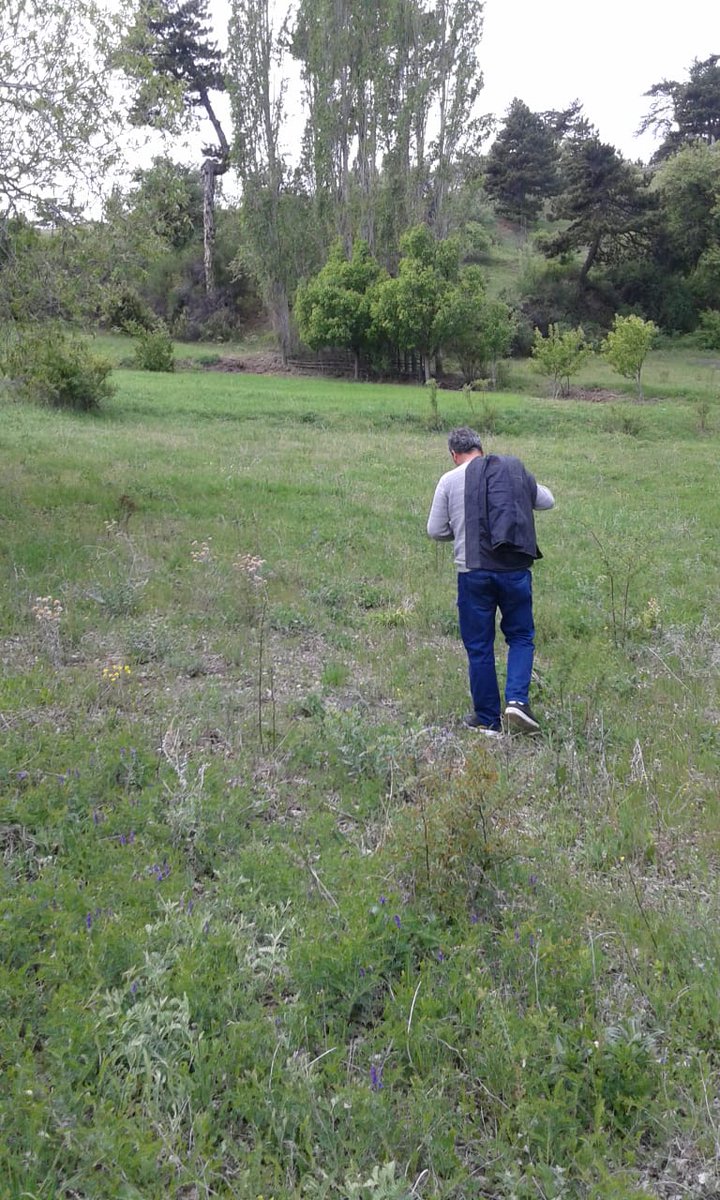 Iyi geceler dilerim herkese