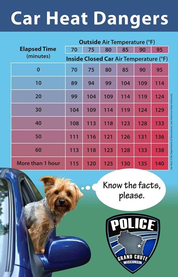 CARS ARE NO PLACE FOR PETS

Leaving🐶locked in your🚘is never safe but when the🌞gets🔥, it can be☠️.

If you can't bring your🐕,🐈,🐇,🐎,🐊 or🐏with you, please leave them at🏠.

#LeaveThemAtHome
#CrackedWindowsArentEnough