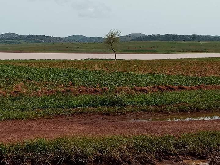 Abdul_Majid84's tweet photo. Snapped today : Makoli village in Barikin Ladi LGA of Plateau State. Photo Credit @YakxMadrid 
#NaturePhotography #NATURE_WORLD https://t.co/7BnmGDeBdb
