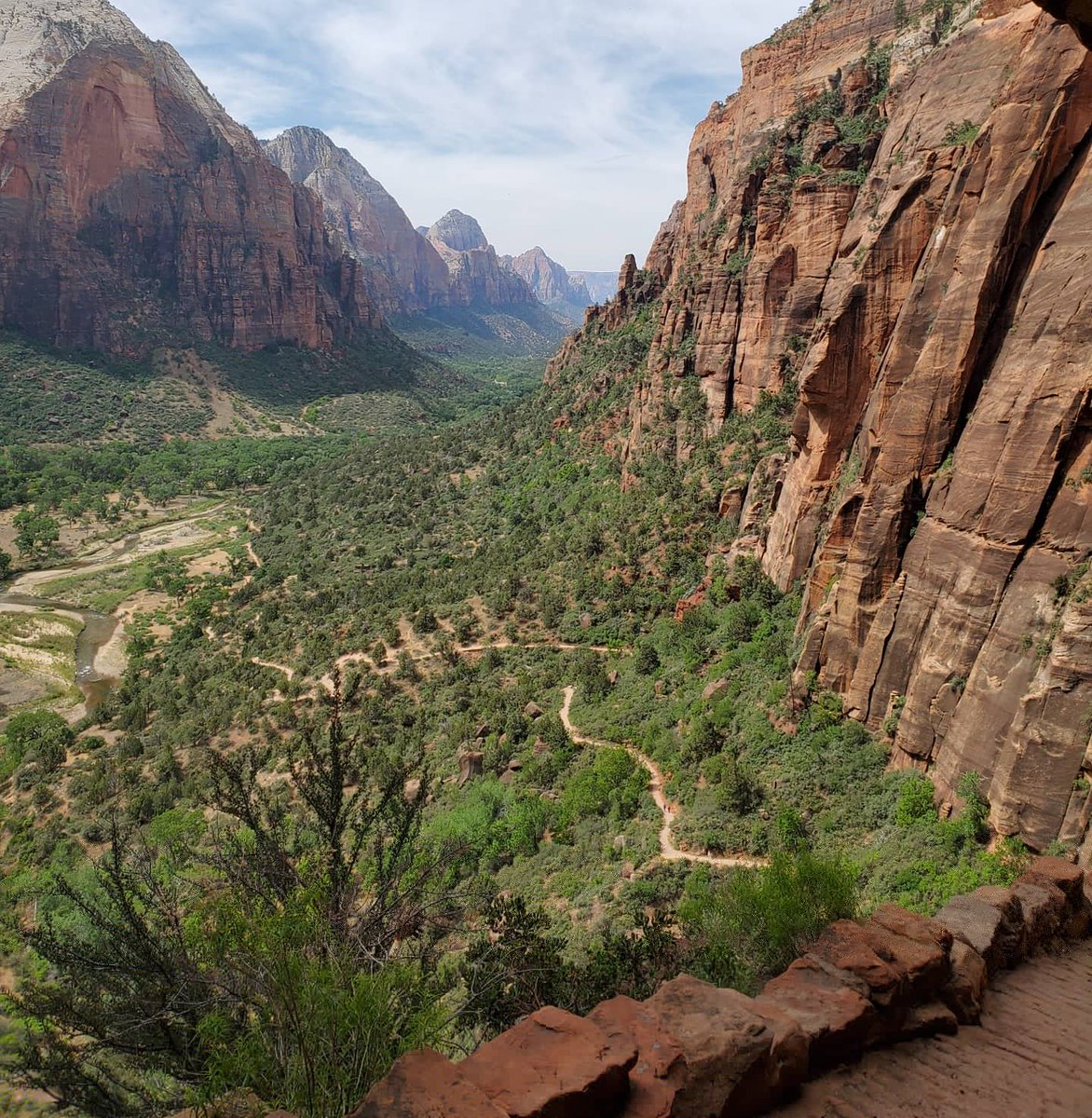 bugsterdrew's tweet image. Hiking with the family on the Angel's Landing train in Zions National Park this morning. So much fun! 

#zionsnationalpark #angelslanding #famyhike