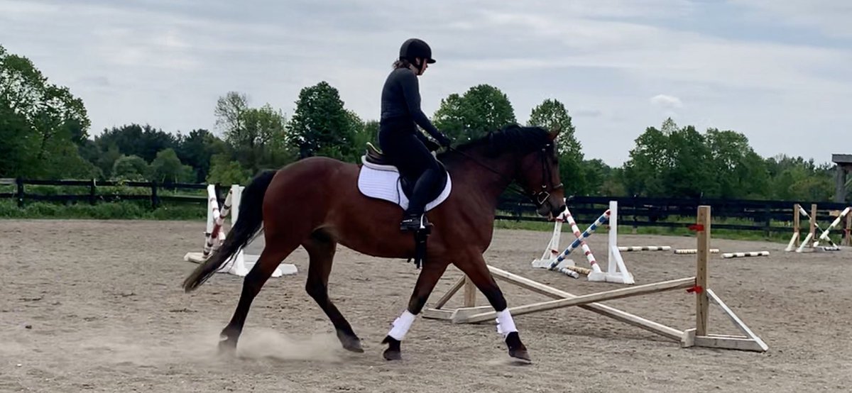 Rider1Re's tweet photo. The first time I’ve ever put him in white. And I think he looks splendid https://t.co/frGn4jN8Uf
