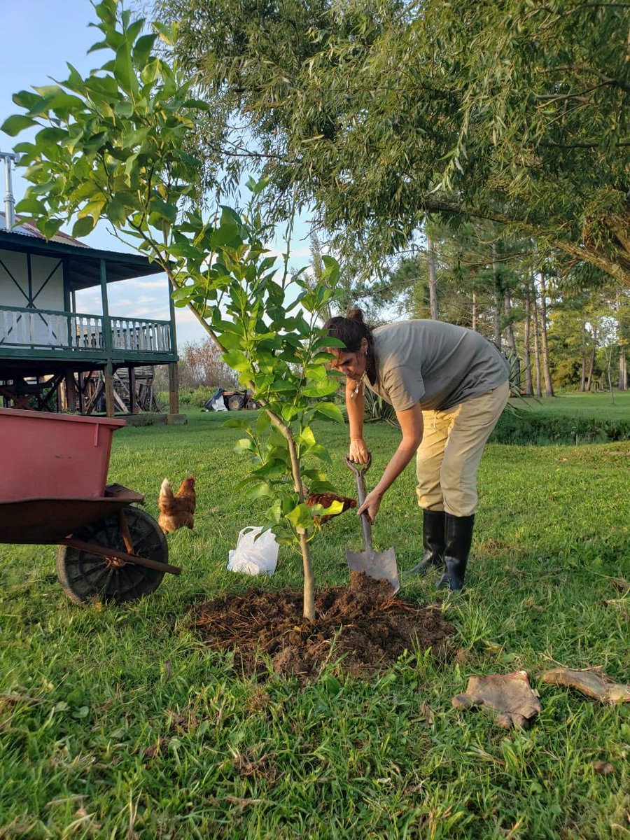 Estamos en la semana ambiental del 1 al 5 de Junio 🌱🌾. Tomemos conciencia sobre los cuidados y respeto del medio ambiente. Una manera muy concreta es la de reducir, reutilizar y reciclar ♻️ nuestros residuos. #diadelambiente