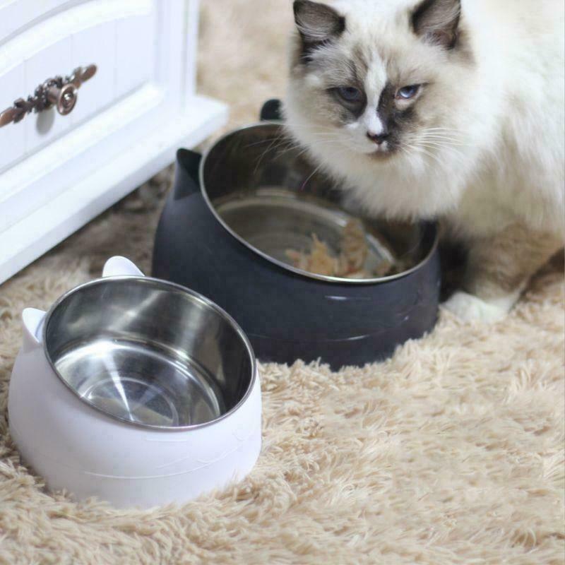 petsstore2's tweet image. Stainless Steel Cats Dog Food Bowl 15°Slanted Non-slip Pet Utensils Container          ift.tt/2U5Gi8V