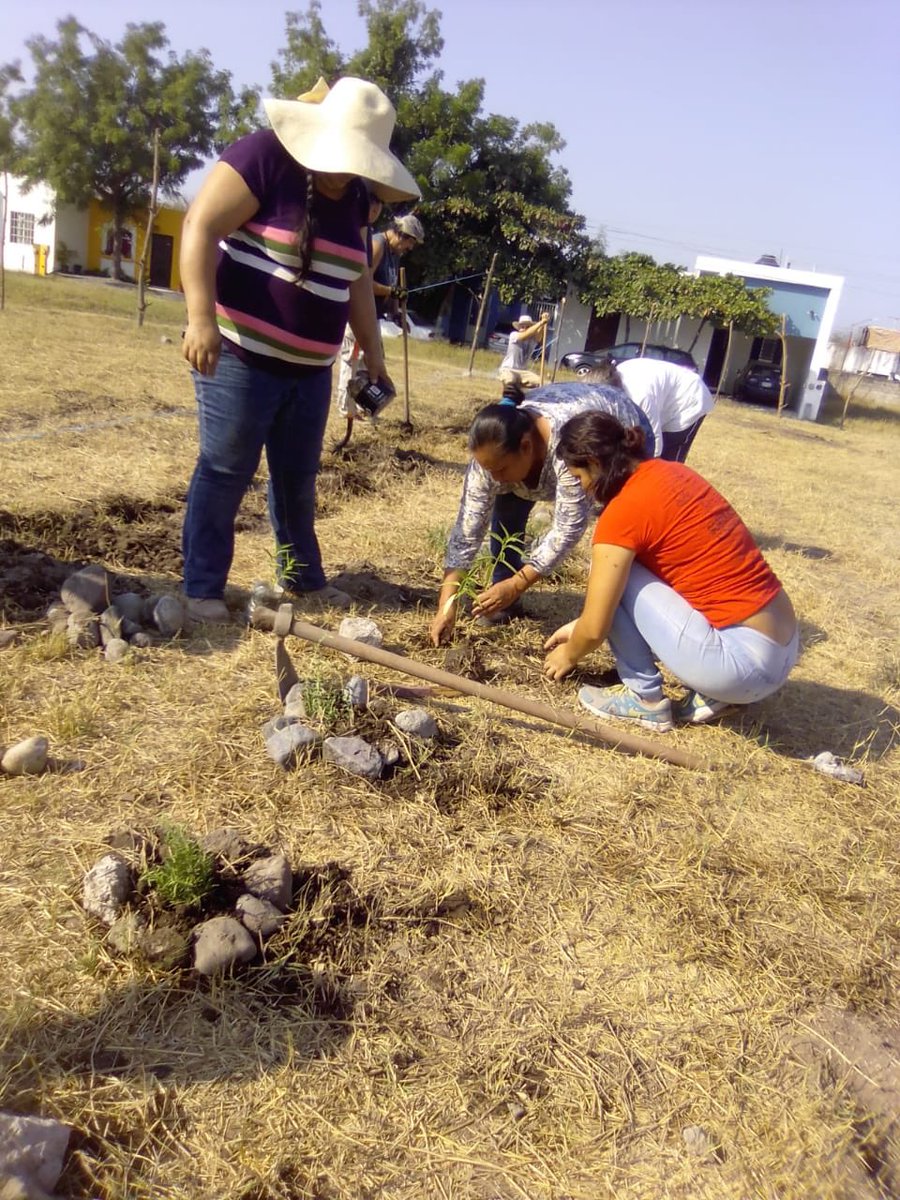 DefensaMaizCol's tweet image. Mujeres dadoras de vida, mujeres medicina, mujeres guardianas, tlazocamatli 🙌🏽 

Comunidad Urbana de Aprendizaje Campesino- Tabachines.

#HacemosMilpa
#CUAC
#SoberaníaAlimentaria