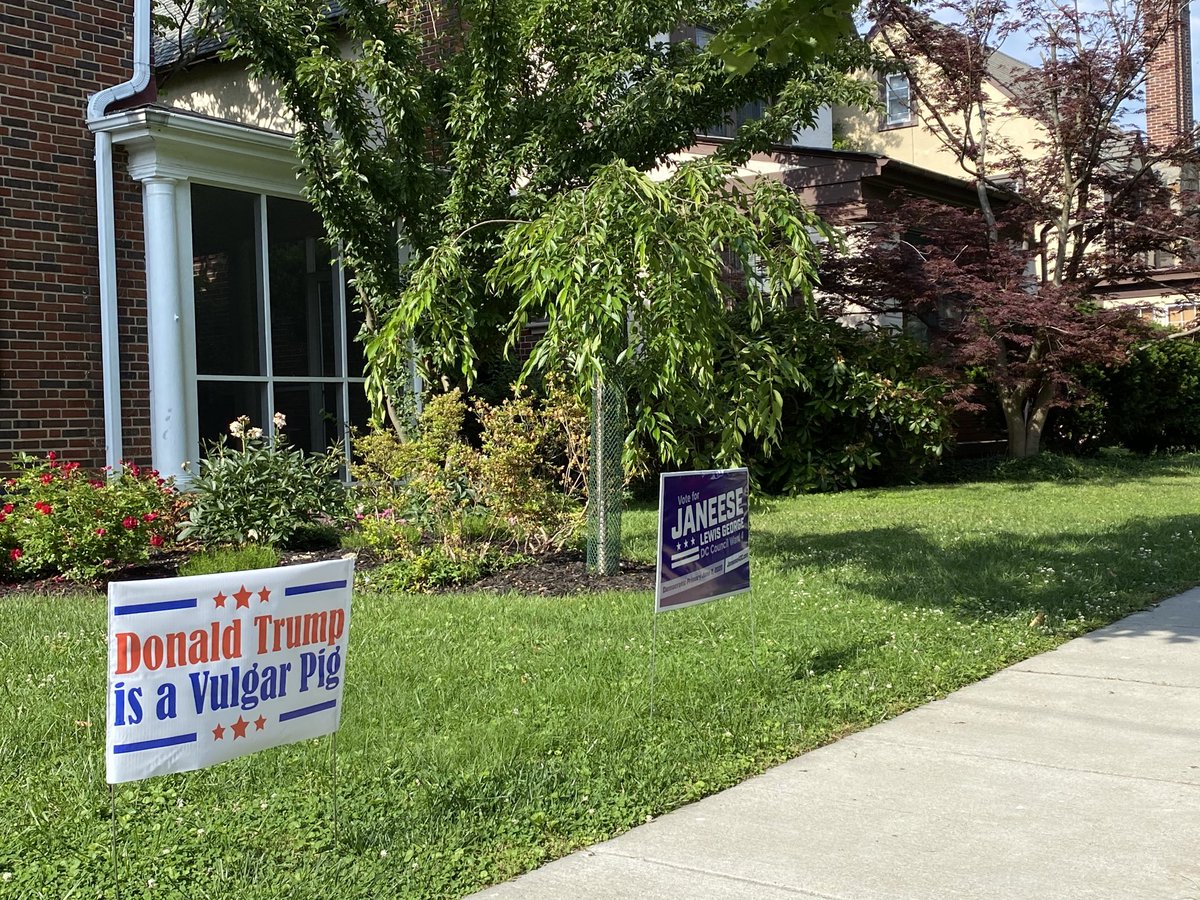 This is my fave political yard in #shepherdpark today.