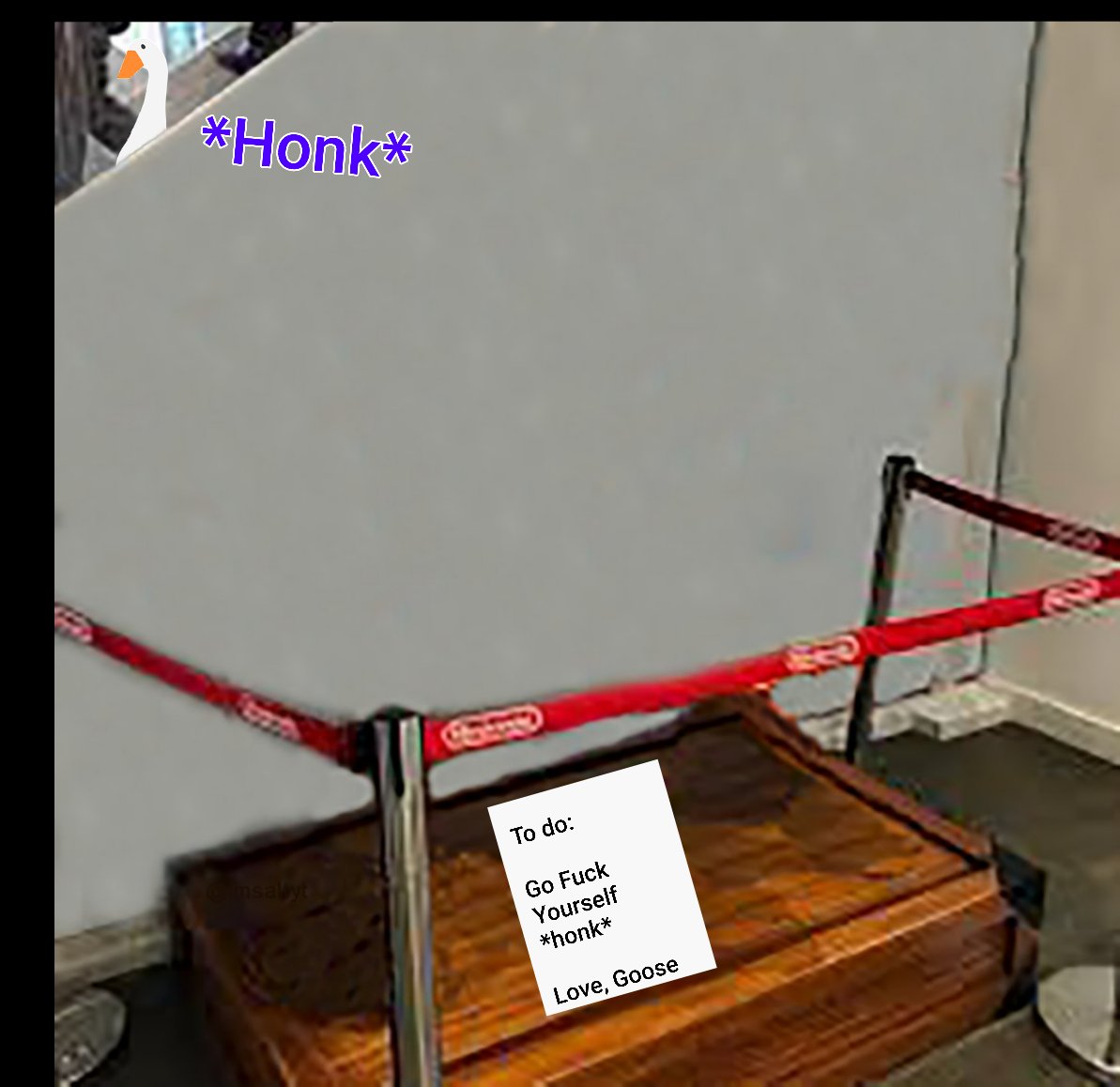 UntitledGoose_'s tweet image. So I MAY have kidnapped @DonkeyKongApe *honk*