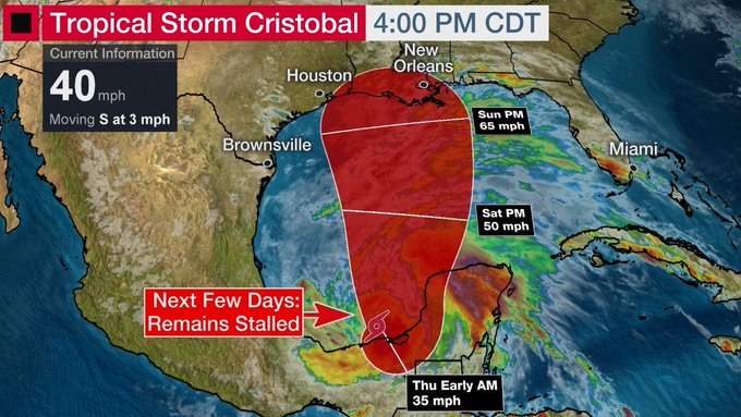 Ver imagen en Twitter