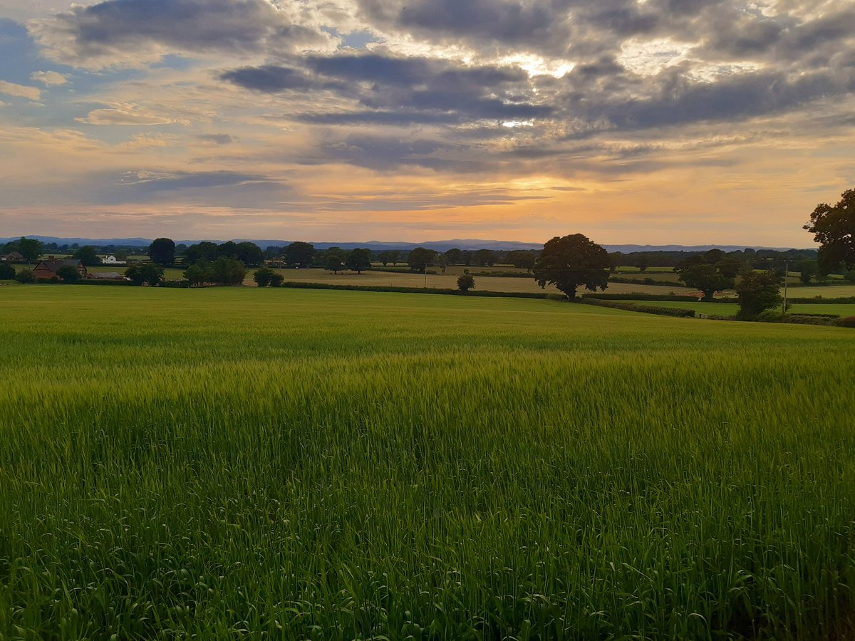 Visit Shropshire (@visitshrop) on Twitter photo Will #Shropshire be on your visiting #wishlist for the future?
#sunnyday #futureplans #respectprotectenjoy
<a href="/LetsGoLudlow/">Let's Go! Ludlow</a> <a href="/VisitEnglandBiz/">VisitEnglandBiz</a> <a href="/BBCShropshire/">BBC Shropshire</a> Will #Shropshire be on your visiting #wishlist for the future?
#sunnyday #futureplans #respectprotectenjoy
<a href="/LetsGoLudlow/">Let's Go! Ludlow</a> <a href="/VisitEnglandBiz/">VisitEnglandBiz</a> <a href="/BBCShropshire/">BBC Shropshire</a>