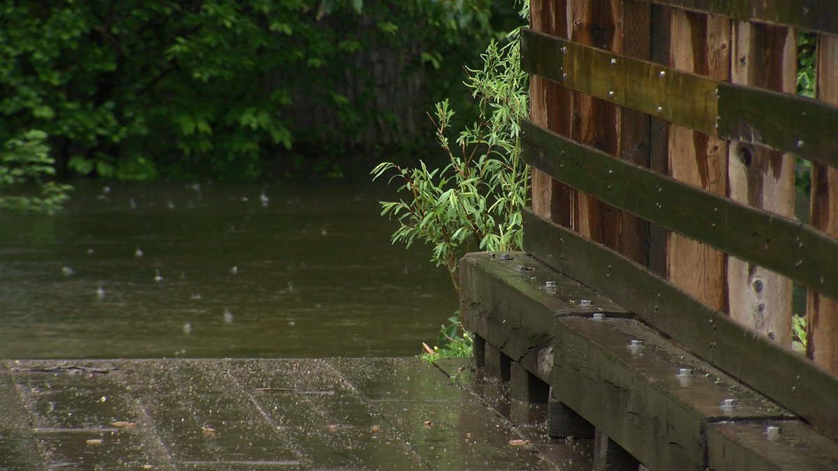 The Fraser and Nechako rivers are on the rise in the #CityofPG. Trails at Cottonwood Island Park have flooded once again. More rain is in the forecast for today and this weekend. <a href="/ckpgnews/">CKPG News</a>
