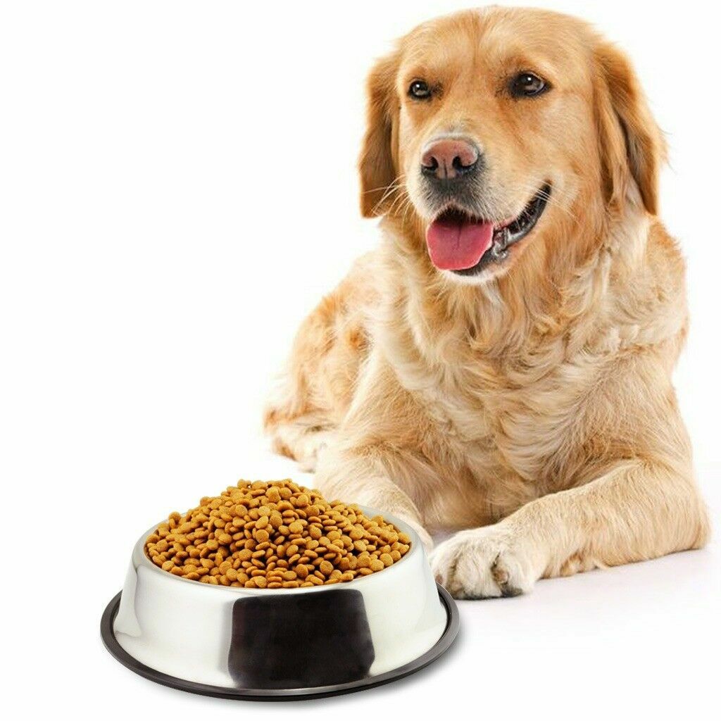 petsstore2's tweet image. Stainless Steel Dog Bowls Water Pet Food Feeder Anti-Rust No Stickers on 16-32Oz       ift.tt/3dF44R7