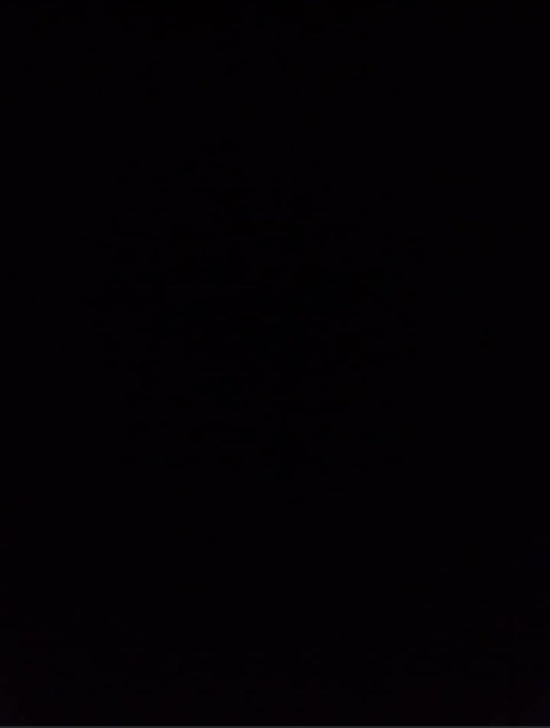 Ayse Sonmez tweet media