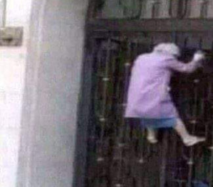 liilyy04's tweet photo. La reina Isabel en la puerta de #anonymus para q no diga q es un reptil https://t.co/80VCgsaHrj