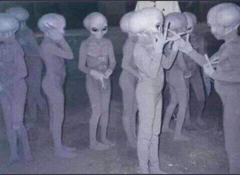Slow30017427's tweet photo. Ya saben como es el plan hacemos una farsa y distraemos a los humanos para que Trvmp escape!! Todos para uno y uno para todos
#Anonymuos #OVNI #ViralNews #Trvmp https://t.co/puCdrcKouo