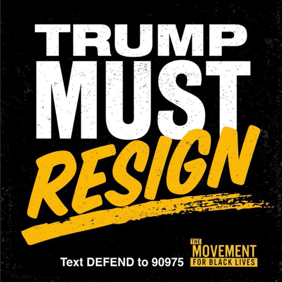 Trump has given a green light to cops and militias to beat, maim and kill people with impunity. 

He has now illegally activated the military to maintain power and use force on civilians.

The red line has been crossed too many times. 

Trump must resign. Our lives depend on it.