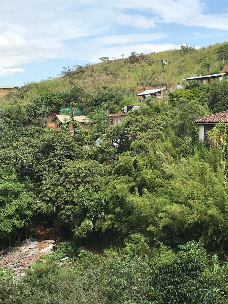 ReyesKuri's tweet image. #DENUNCIA | Alcalde @JorgeIvanOspina, en el barrio Cristales hace varias semanas están denunciando una invasión de 14 casas nuevas en un terreno del municipio. Ha habido trasteos, construcción de postes y hasta tala de árboles. ¿Qué se está haciendo? ¿Quién controla?