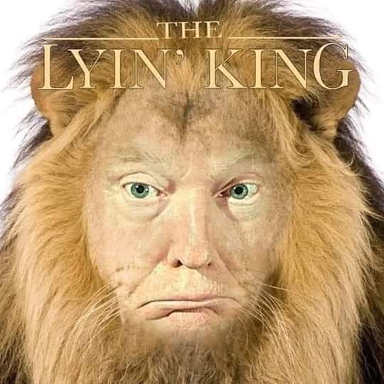 jj_connell's tweet photo. @jonkarl @realDonaldTrump https://t.co/82rfhVNDj5