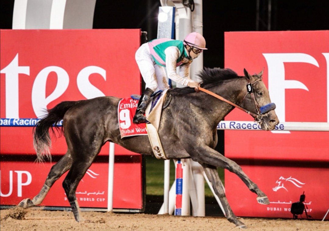 Dubai world championship betting odds Dubai world championship betting odds darmowe prognozy forex broker