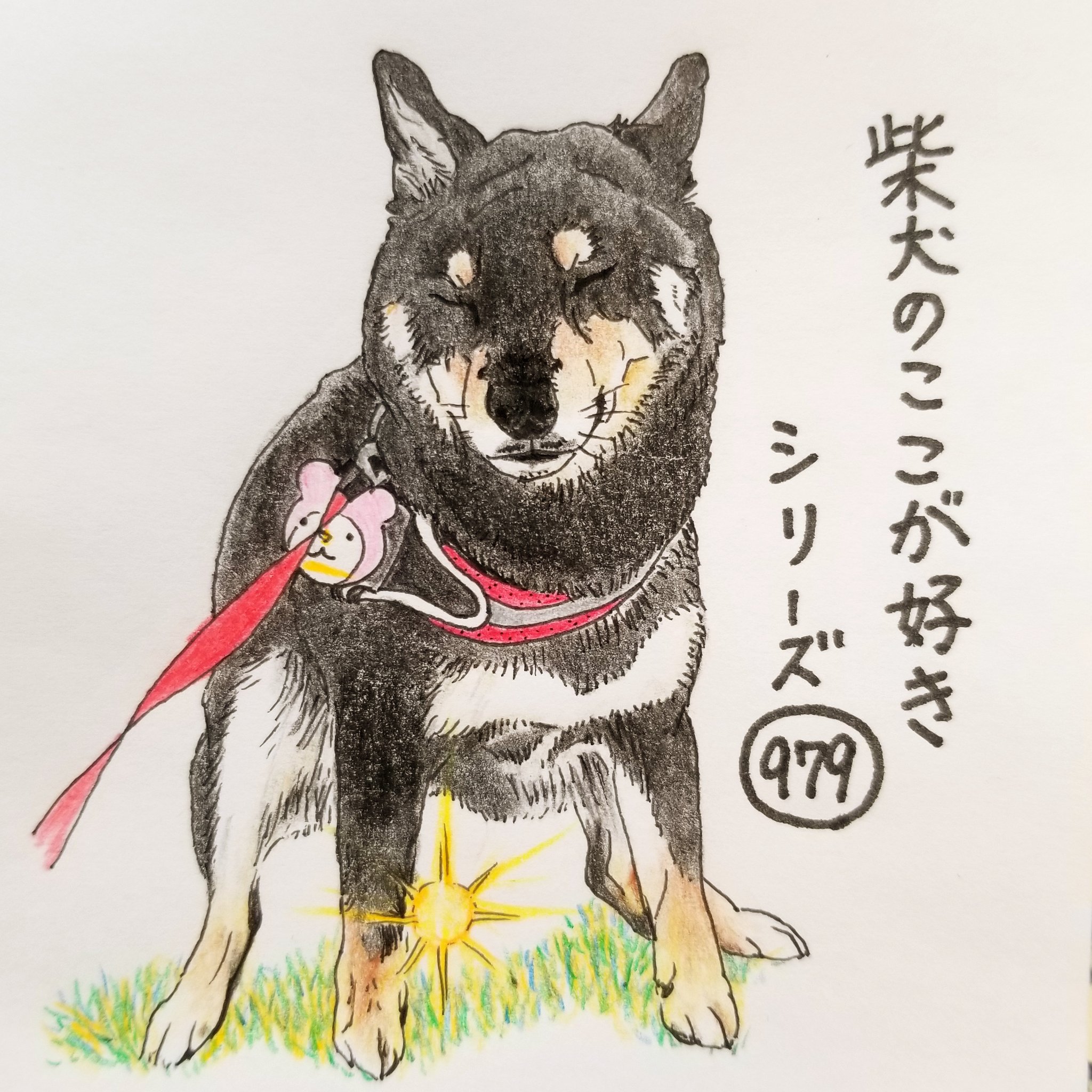 Twitter 上的 ここ柴 大きい方をしているとき どすこいスタイルを撮影されがち そして 加工されがち 光ってるねぇ 柴犬のここが好き ここ柴 ここ柴部 柴犬 イラスト 色鉛筆 どすこいスタイル 黒柴 T Co Dwqa7w21qu Twitter