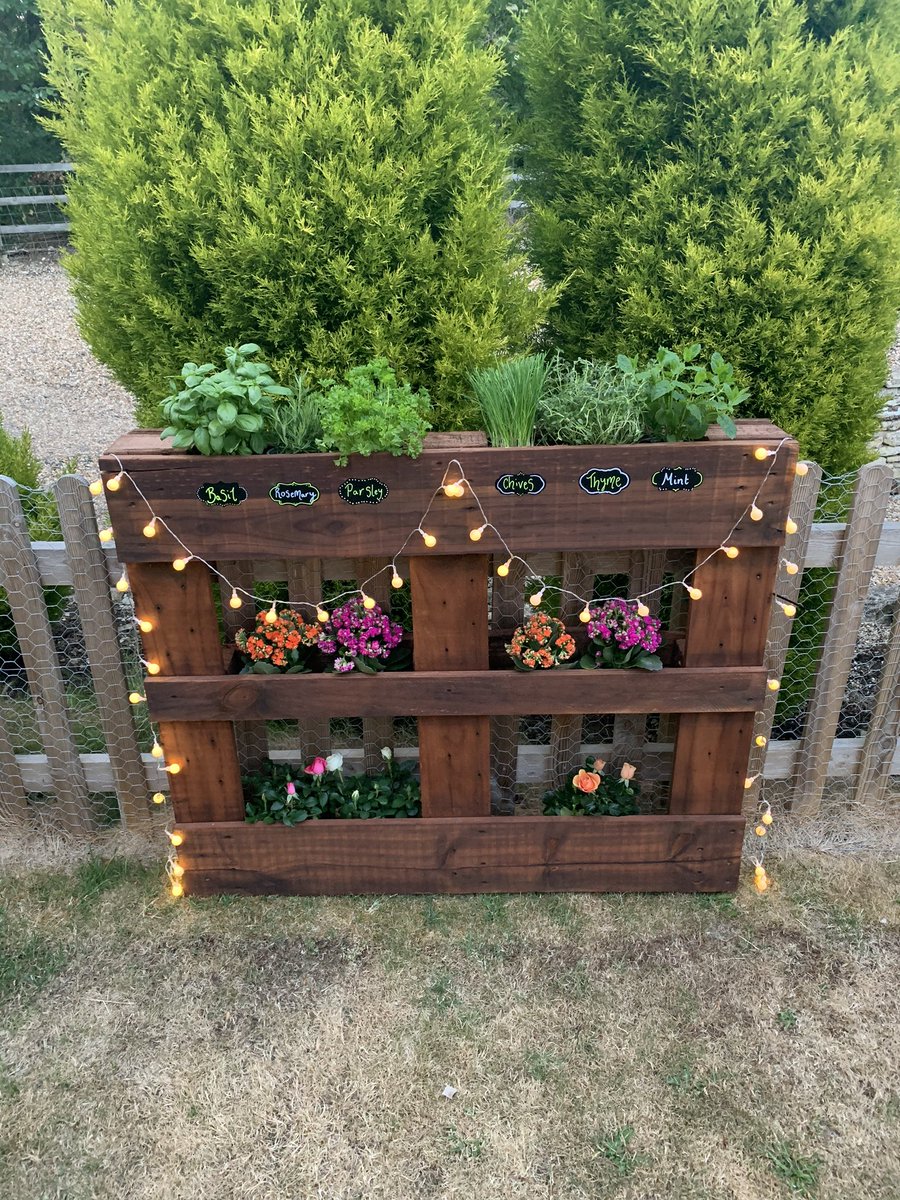 MrFoster94's tweet photo. Upcycling an old wooden pallet into a herb garden ✅ https://t.co/RcTeKsmy81