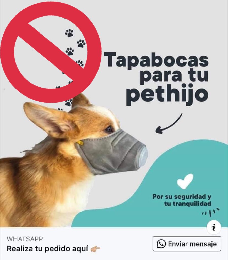 eMVZMike's tweet image. Amigos, NO COMPREN BABOSADAS
El uso de cubrebocas puede matar a tu perro en cuestión de minutos por GOLPE DE CALOR
Los perros no pueden sudar y necesitan jadear con aire fresco para regular su temperatura.
Den RT para evitar que lomitos mueran.