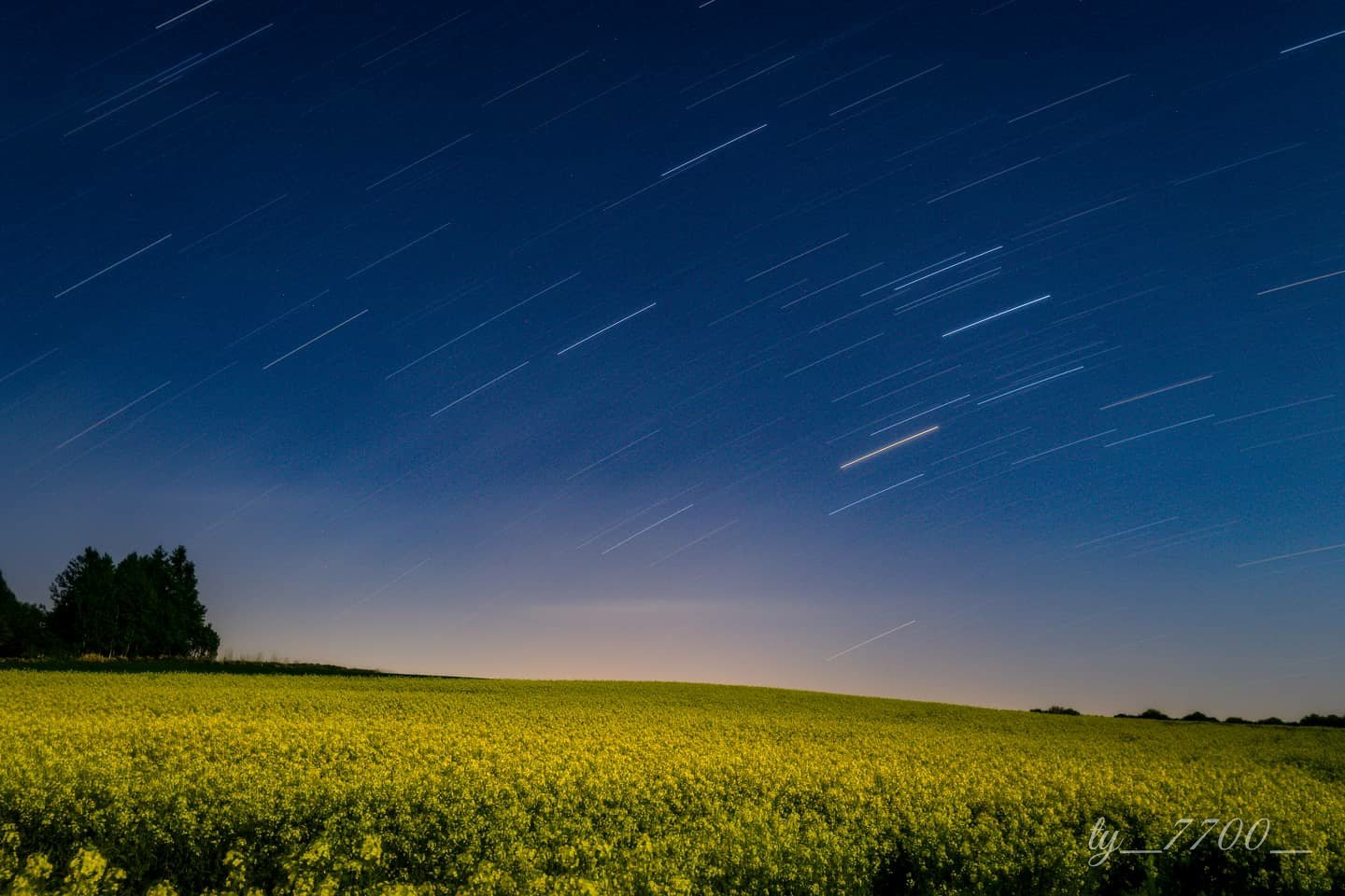 Y Tatsukawa 龍川 悠平 月灯りに照らされて菜の花畑 北海道 滝川 江部乙 菜の花 星 夕陽 Hokkaido Starry Night Sunset Flowers T Co 1uiyohtqiz Twitter