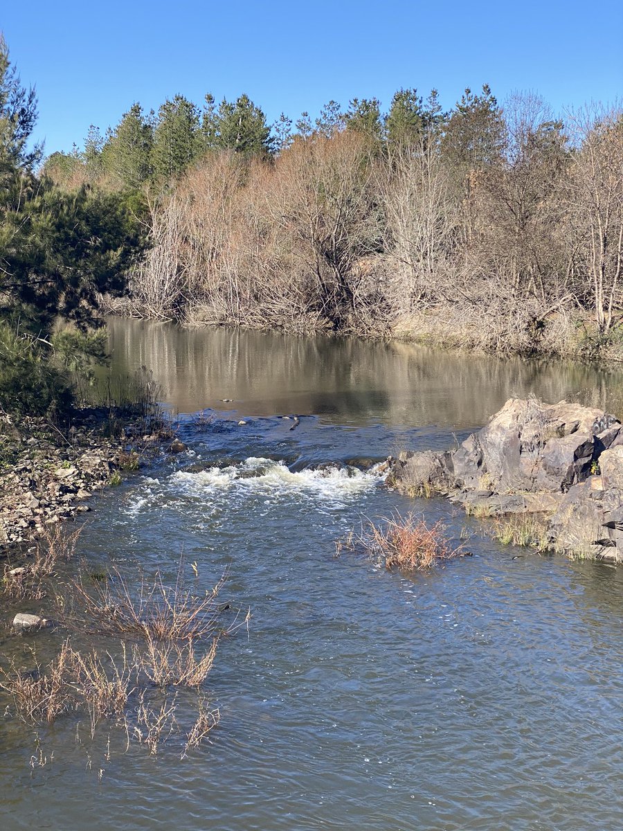 sharky999's tweet photo. Lovely cycle round #Canberra today, #Cotterdam hidden away in the #Brindibellas and a wee bit of gravel on the way home https://t.co/mfWOzr6Opu
